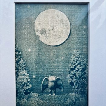 Hand Printed Cyanotype (Toned) - Moth Moon - 6" x 4"