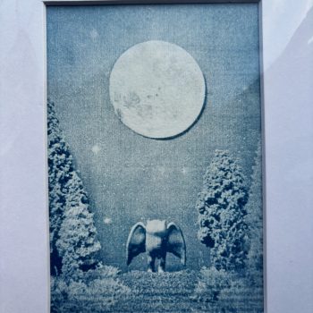 Hand Printed Cyanotype - Moth Moon - 6" x 4"